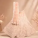 Peach Embroidered Bridal Lehenga Choli Set with Matching Net Dupatta
