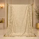 Ivory Cream Saree with Floral Jacquard Weave and Heavy Embroidered Border