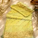 Elegant Pastel Mint Green Banarasi Silk Saree with Gold Zari Border