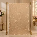 Elegant Peach Net Saree with Circular Sequin Embroidery and Scalloped Border