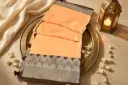 Peach Shimmer Tissue Saree with Metallic Border n Blouse