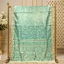 Women's Mint Green Saree with Floral Jacquard Weave and Beaded Border