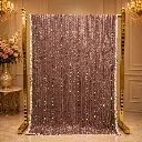 Dusty Rose Saree with Vertical Sequin Stripes and Shimmer Border