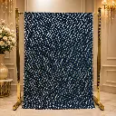 Teal Blue Chevron Sequin Saree with Scalloped Border