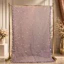 Dusty Lilac Saree with Shimmer Stripe Embroidery and Scalloped Border