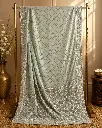 Sage Green Embroidered Saree with Sequin Border and Tassels
