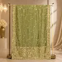 Olive Green Saree with Floral Embroidery, Sequin Border and Ornate Pallu