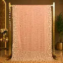 Peach Embroidered Saree with Sequin Stone Work, Floral Border