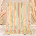 Pastel Multicolor Striped Saree with Elegant Embellished Border