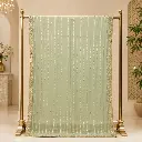 Mint Green Embellished Saree with Metallic Stripes and Floral Buti Border