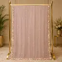 Elegant Dusty Pink Saree with Sequin Embellishments and Beaded Border