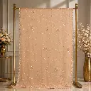 Elegant Peach Net Saree with Floral Vine Embroidery and Sequin Border