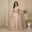 Blush Pink Embroidered Crop Top and Shimmer Tissue Skirt Set