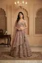 Multicolor Embellished Crop Top Lehenga Set with Net Dupatta