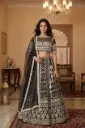 Black Georgette Embroidered Lehenga Set with Sheer Illusion Blouse