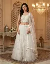 Ivory White Net Embroidered Crop Top Lehenga Set