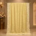Butter Yellow Woven Dupatta with Silver Paisley Border