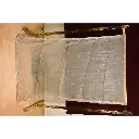 Elegant Shimmering Beige Embroidered Designer Saree