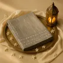 Elegant Metallic Grey Embroidered Designer Saree with Floral Detailing