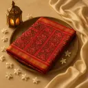 Elegant Red Ikat Silk Saree with Traditional Zari Border