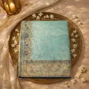 Elegant Aqua Blue Zari Embroidered Saree