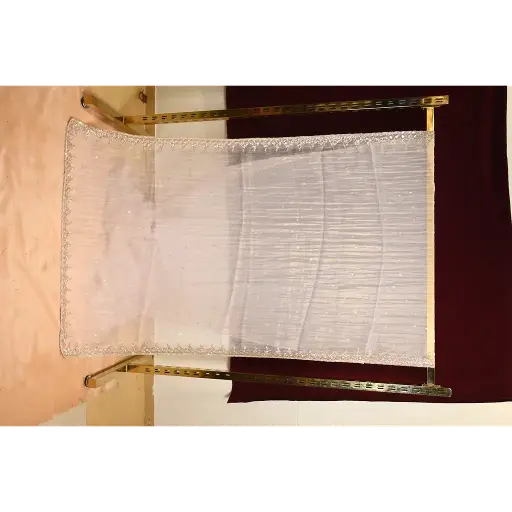 [84817001EV54F2] Elegant Embellished Peach Saree with Intricate Sequin Border